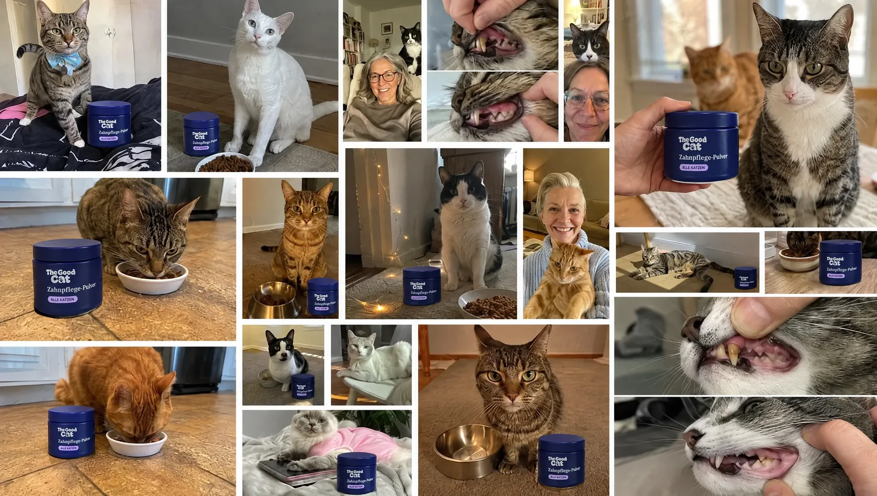 The Good Cat: Katzen und ihre Besitzer