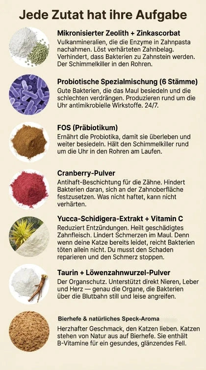 Jede Zutat hat ihre Aufgabe: Inhaltsstoffe